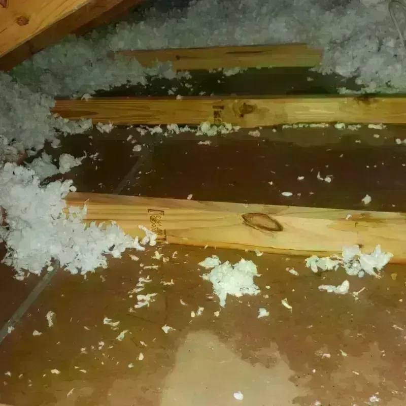 Attic Water Damage in Lochbuie, CO